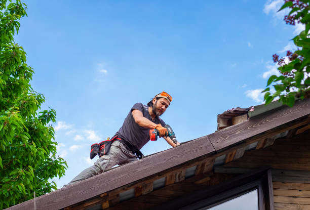 Best Roof Insulation Installation  in Elburn, IL